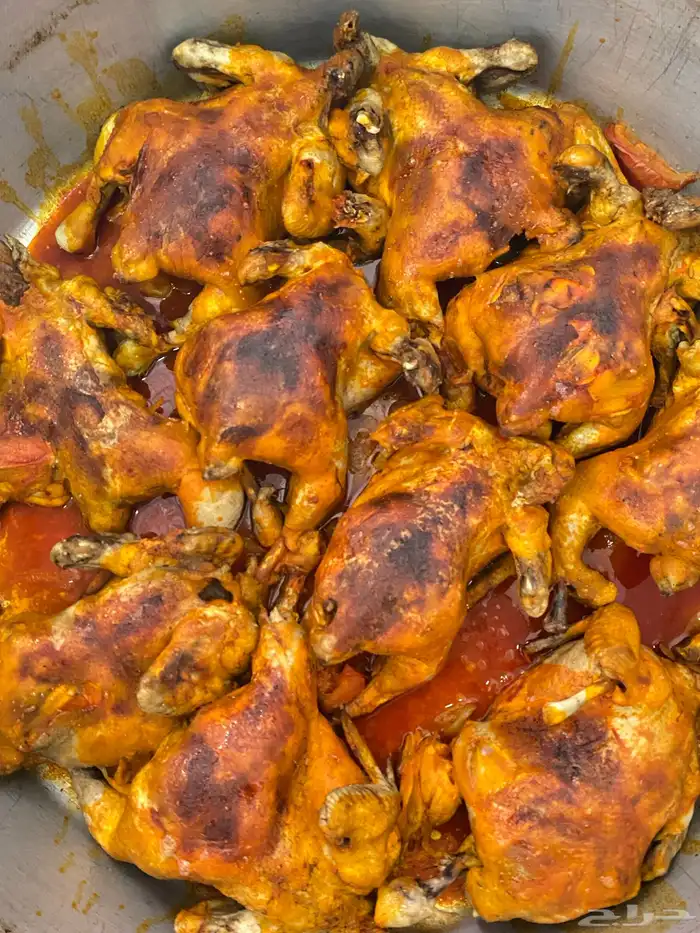 طباخ وجبات للشركات 0