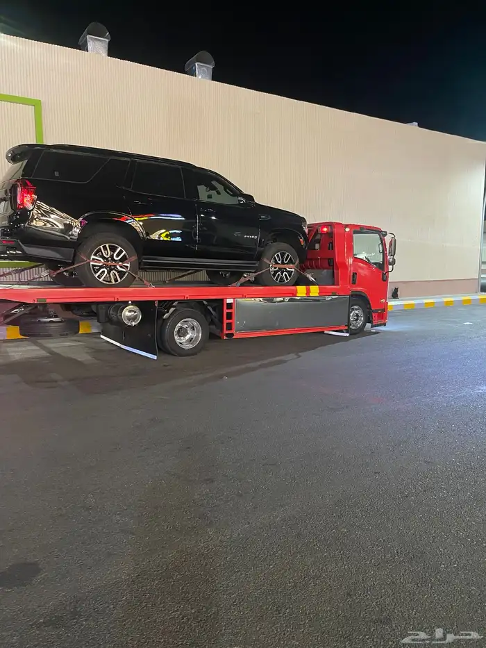 سطحه الحناكيه النخيل 0