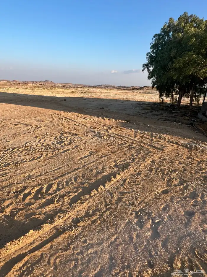 قطع زراعيه للإيجار وسكن 2
