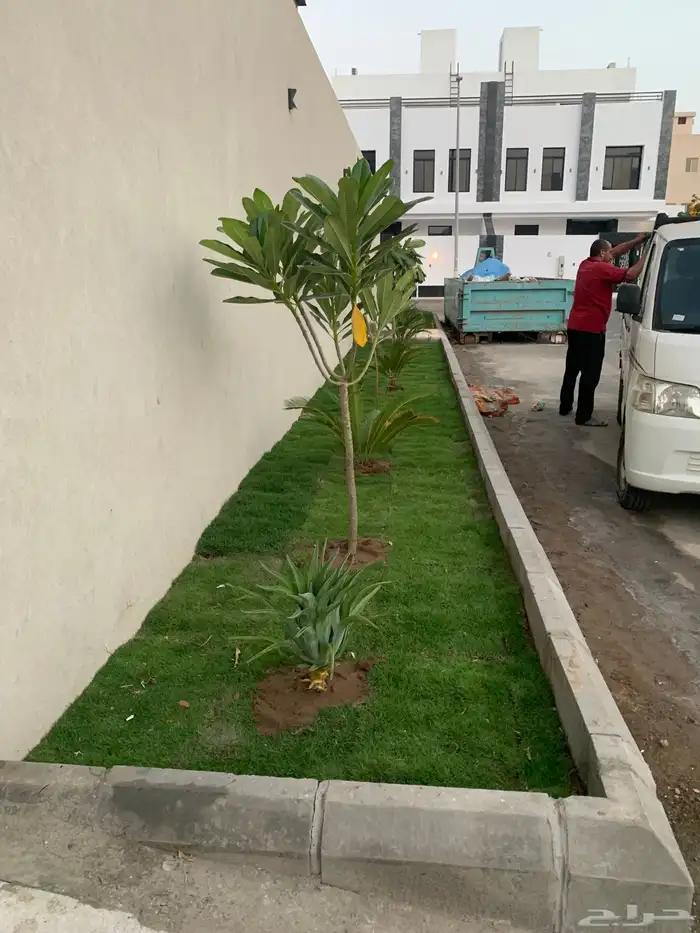 صيانة حدائق تصميم حدائق تنسيق حدائق 5