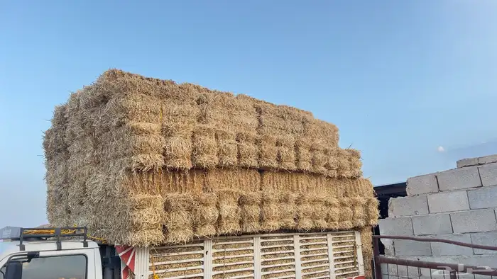تبن بر صافي 1