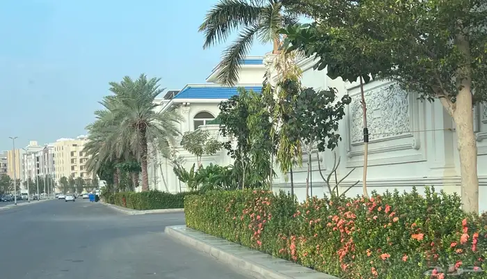 صيانة حدائق تصميم حدائق تنسيق حدائق 59