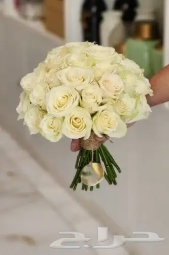 كوش افراح للايجار باسعار مناسبه 1