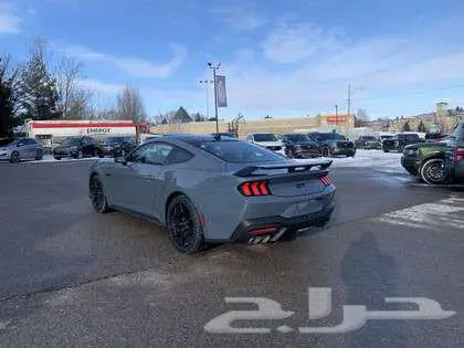للبيع موستنج GT Performance 2025 5