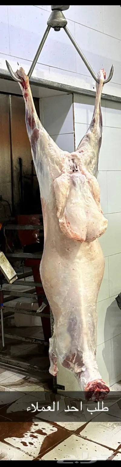 ذبائح 4