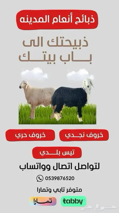 ذبائح 1