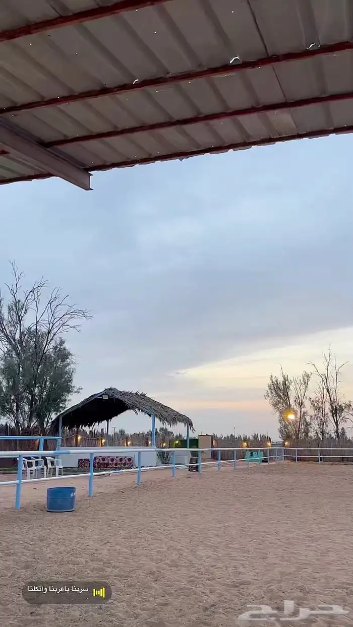 يتوفر مربط خيل نسائي مغلق 3
