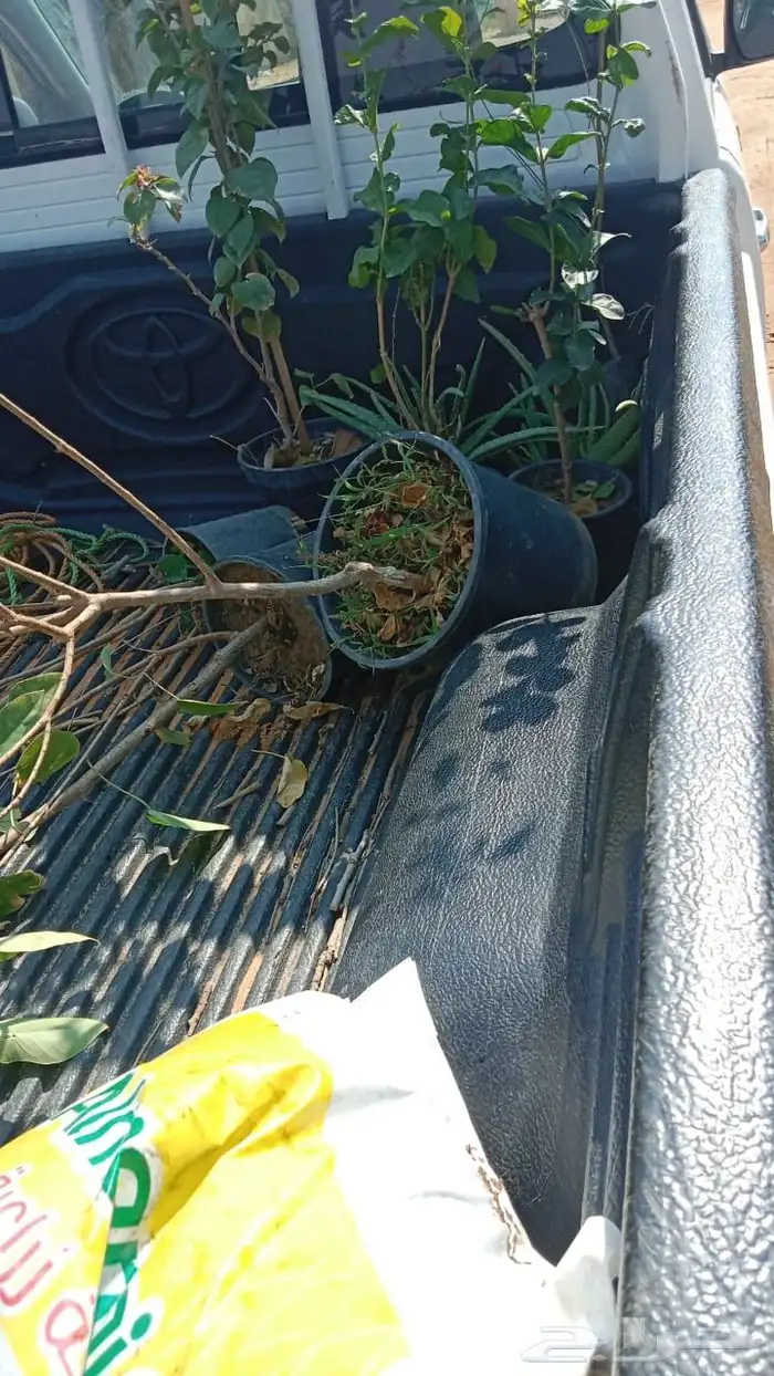 احواض زراعيه جديد ومستعمل مراكن كل المقاسات بسعار مخفضه 12