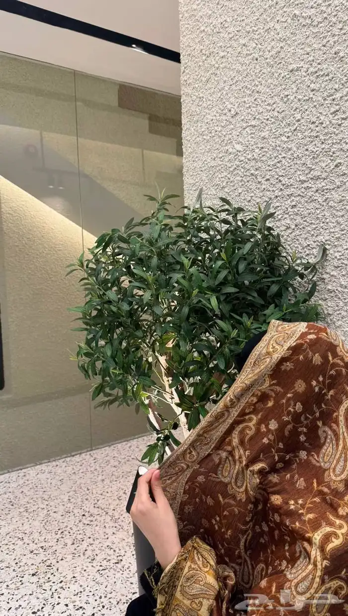 شال كشميري نسائي 2