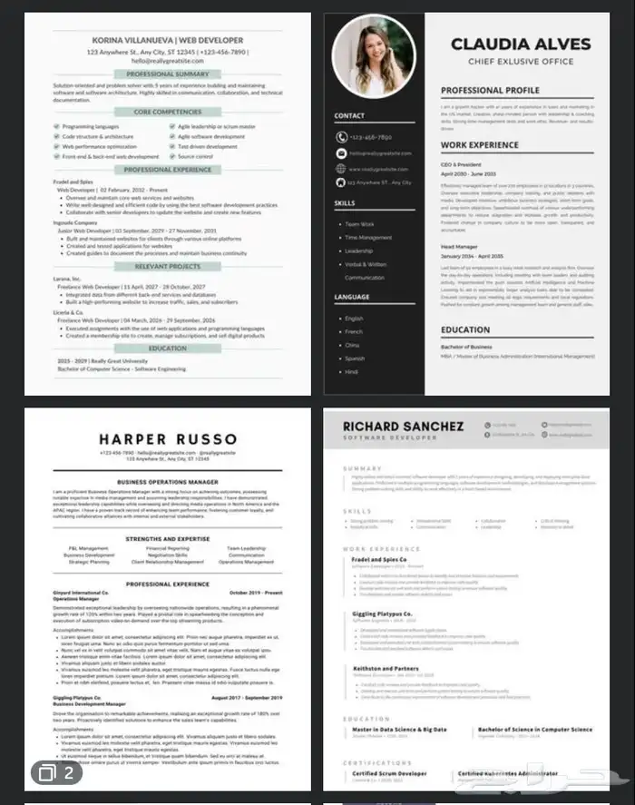 عمل cv احترافي سعر رمزي وتسليم سريع 10