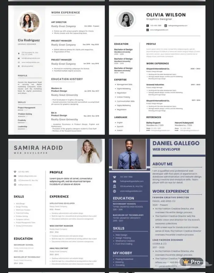 عمل cv احترافي سعر رمزي وتسليم سريع 0