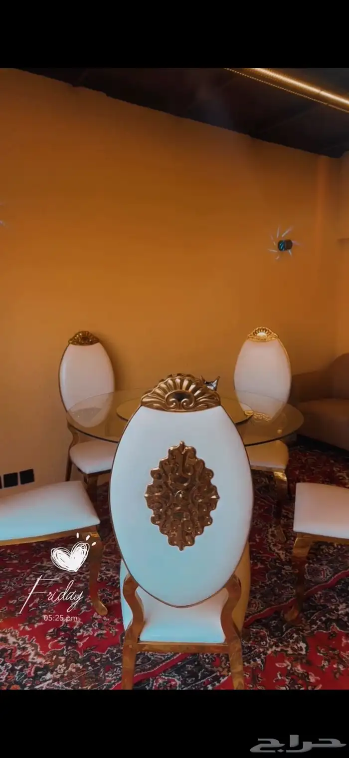 كراسي VIP للايجار 1