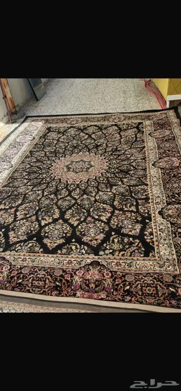 زوليه جديدة 0