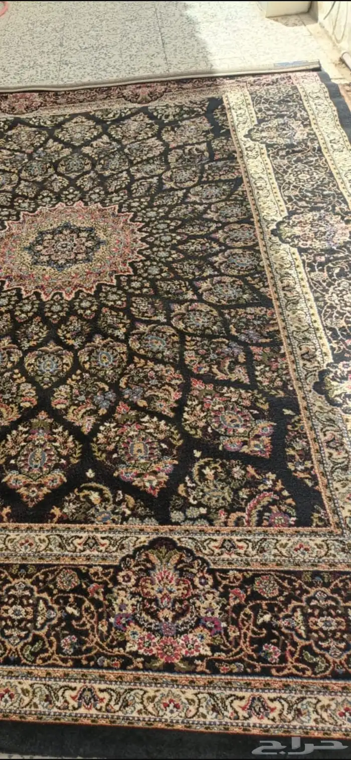 زوليه جديدة 1