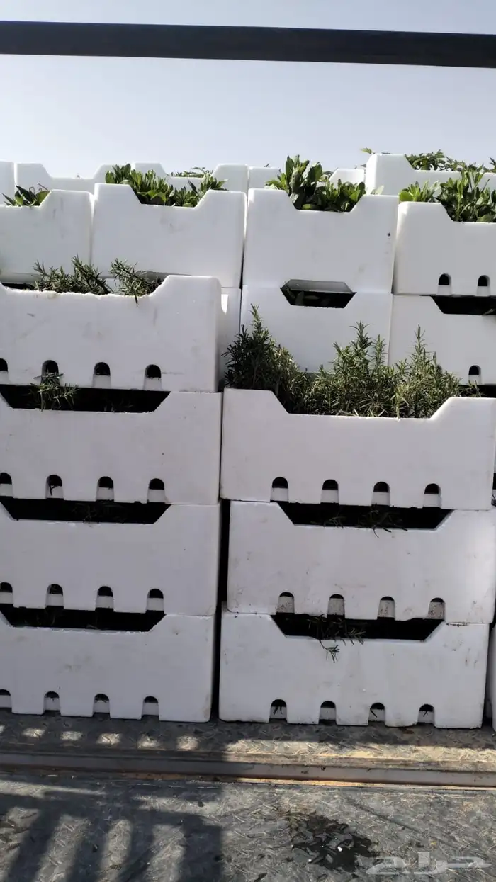 احواض زراعيه جديد ومستعمل مراكن كل المقاسات بسعار مخفضه 13