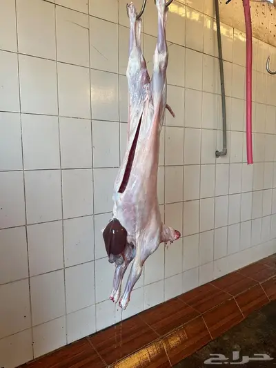ذبائح 2