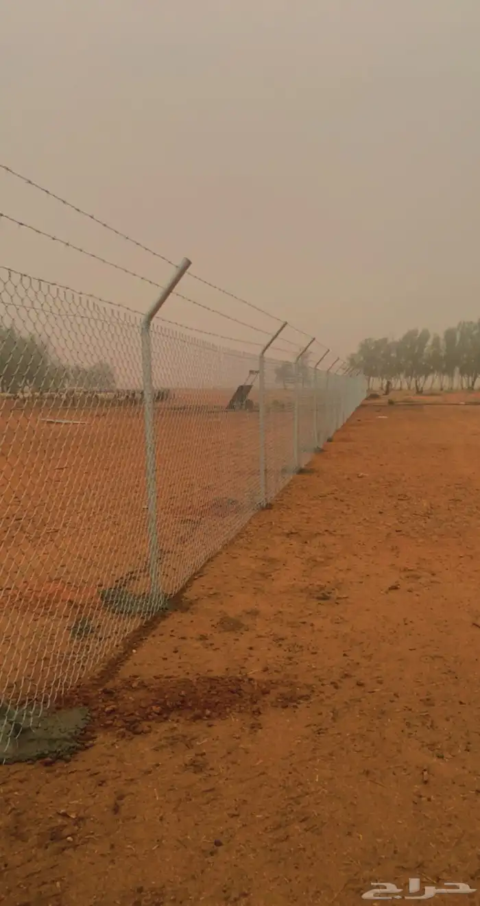 شبوك حايل الشملي عمائر صنعاء 7