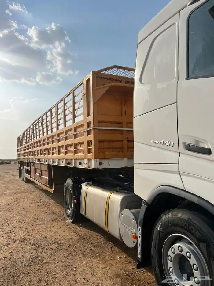 لل البيع تيدر طول 15 مشروط 3