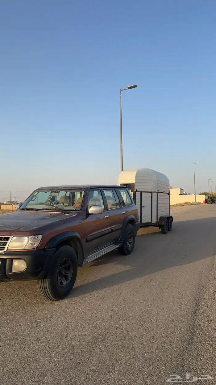 نقل خيل راسين داخل القصيم وخارجها 1