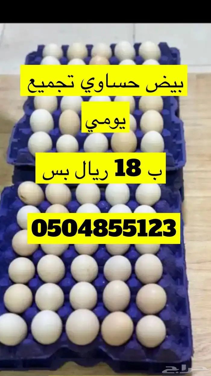 بيض حساوي وفيومي 0