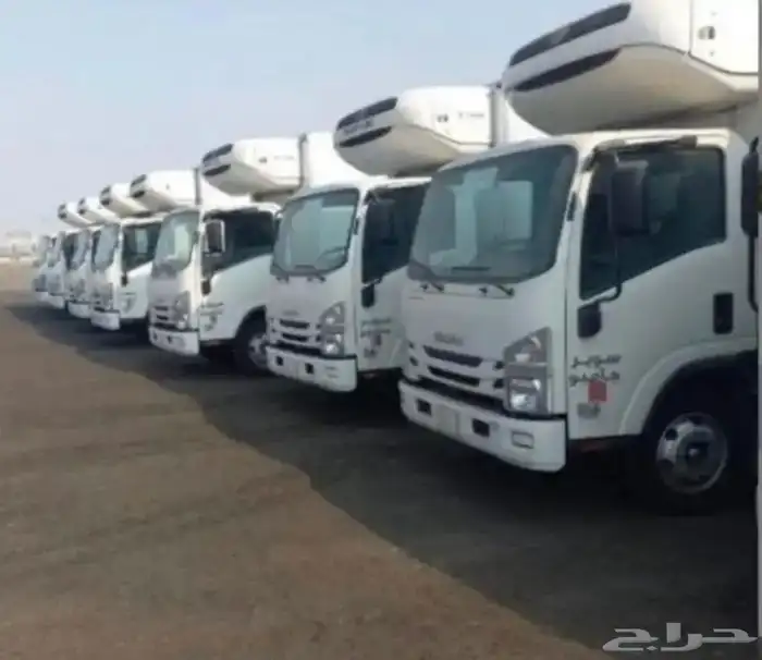 دينا ايسوزو ثلاجة للإيجار الشهري والسنوي 0