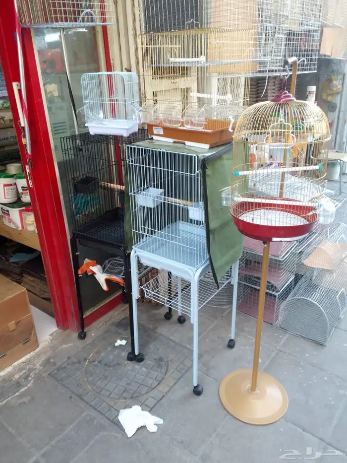 قفص كاسكو طيور الدره ببغاء طيور انتاج 16