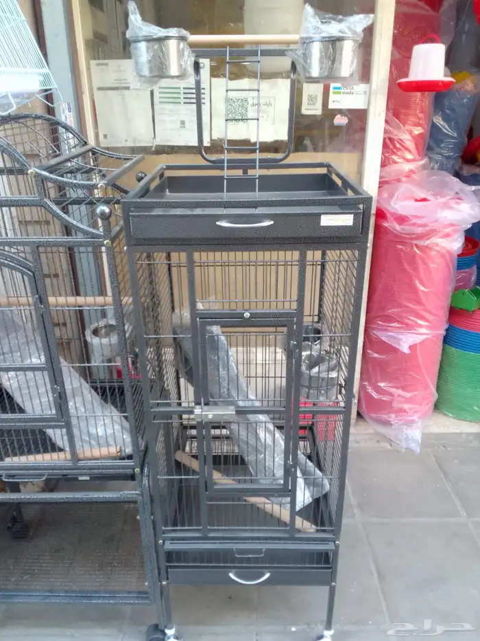 قفص كاسكو طيور الدره ببغاء طيور انتاج 6