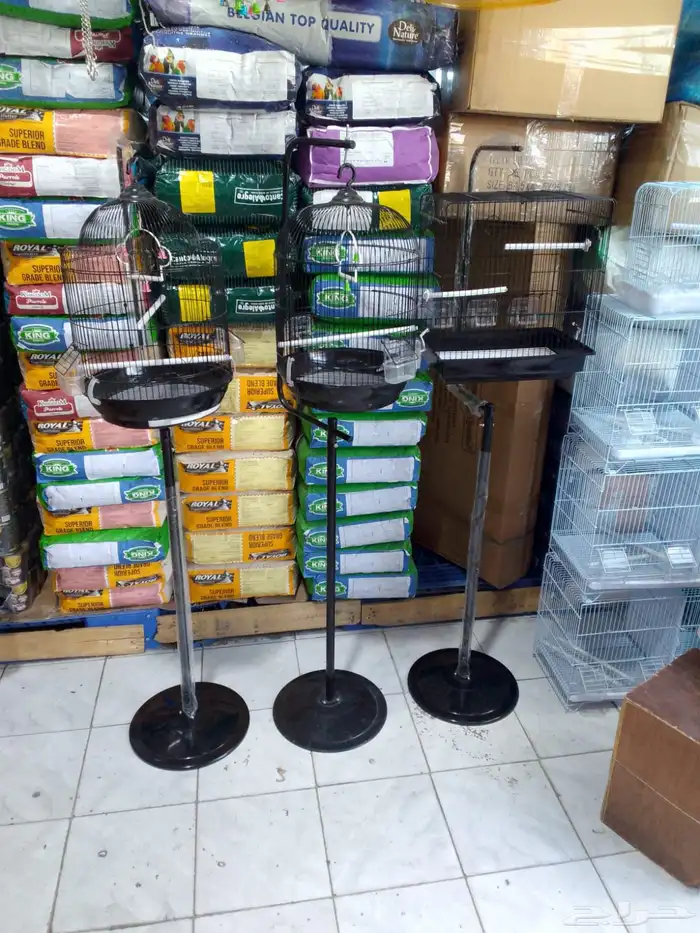 قفص كاسكو طيور الدره ببغاء طيور انتاج 20