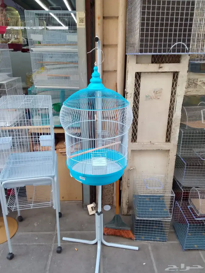 قفص كاسكو طيور الدره ببغاء طيور انتاج 4