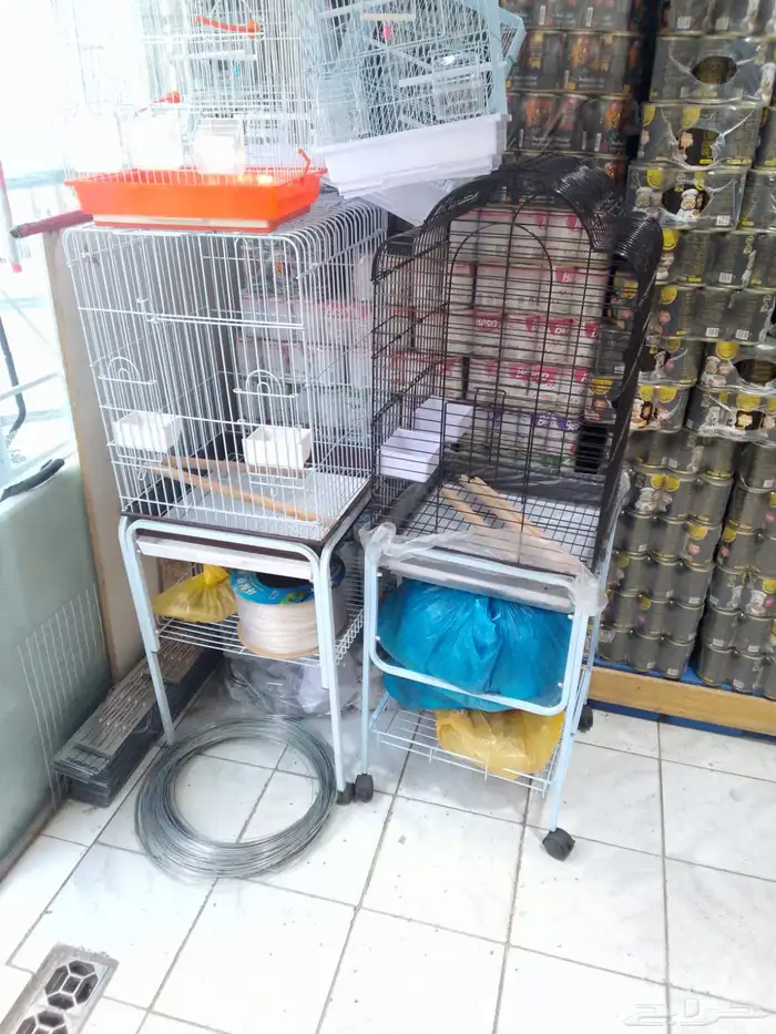 قفص كاسكو طيور الدره ببغاء طيور انتاج 1