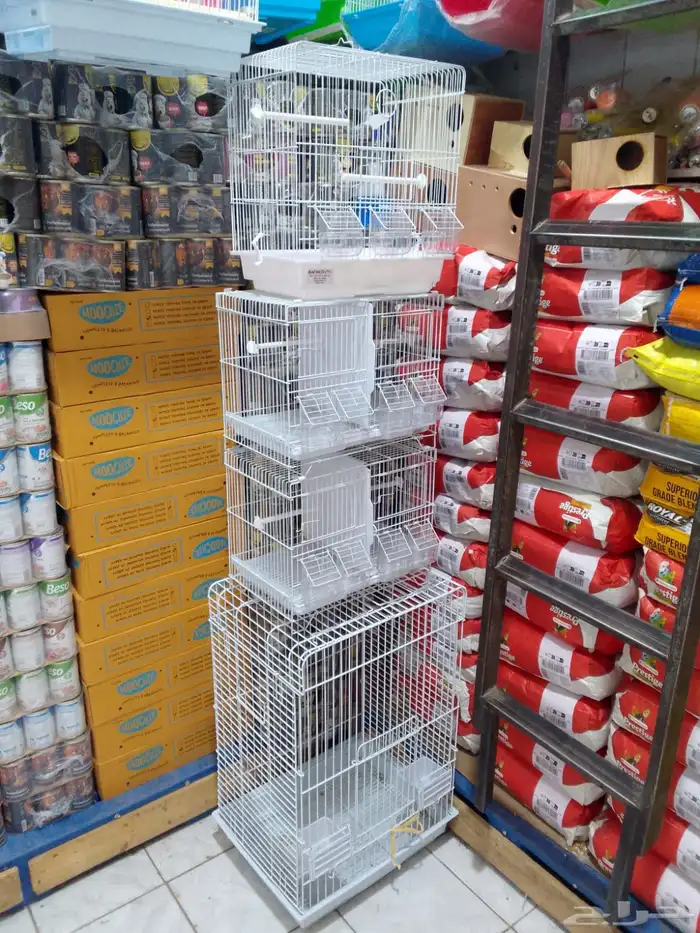 قفص كاسكو طيور الدره ببغاء طيور انتاج 5