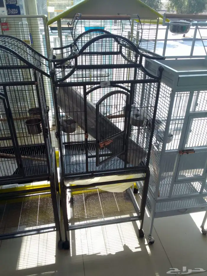 قفص كاسكو طيور الدره ببغاء طيور انتاج 18