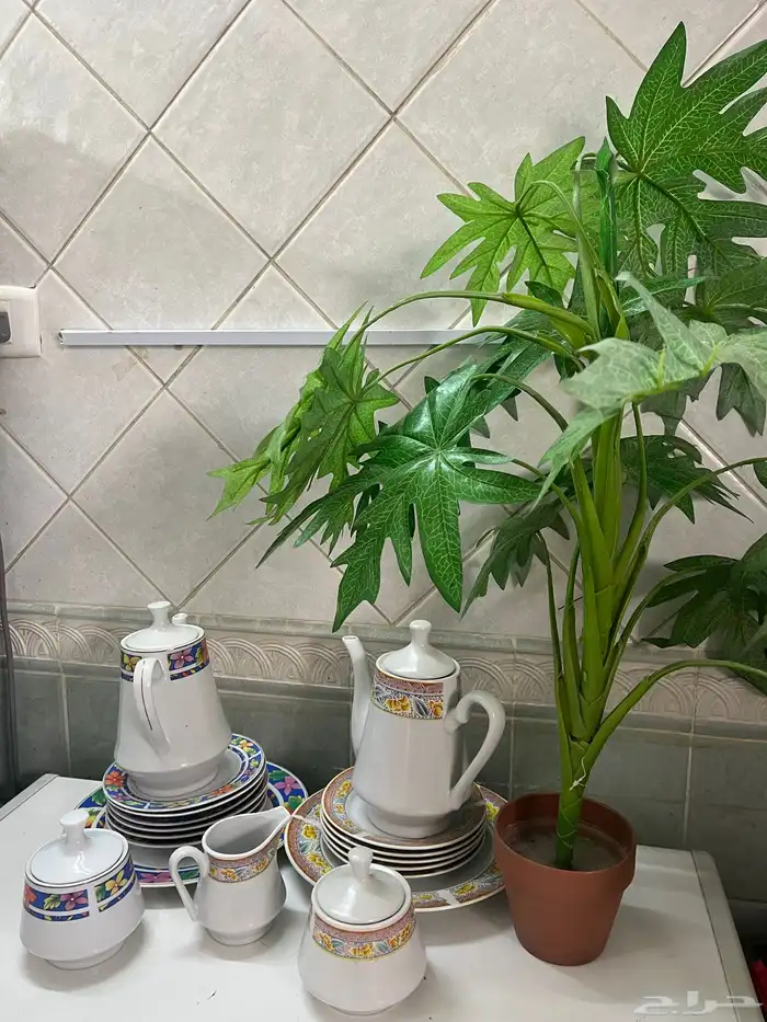 لوحات وشجر وادوات مكتب 2
