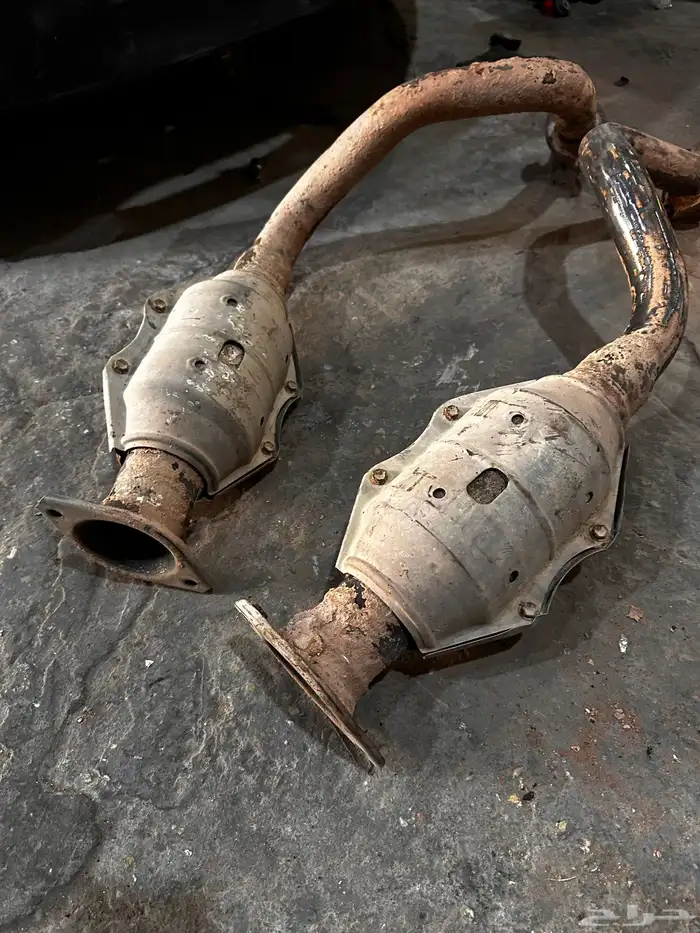 دبات تلوث شاص 1