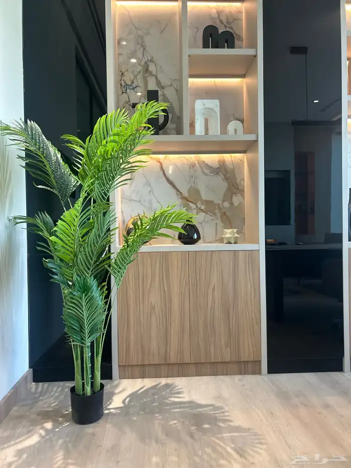 رفع مساحي as buit كشف اعمدة 6