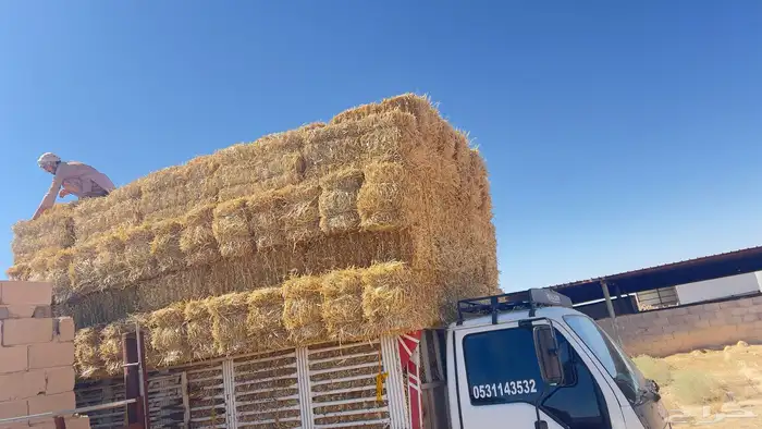 تبن بر صافي ناعم 2