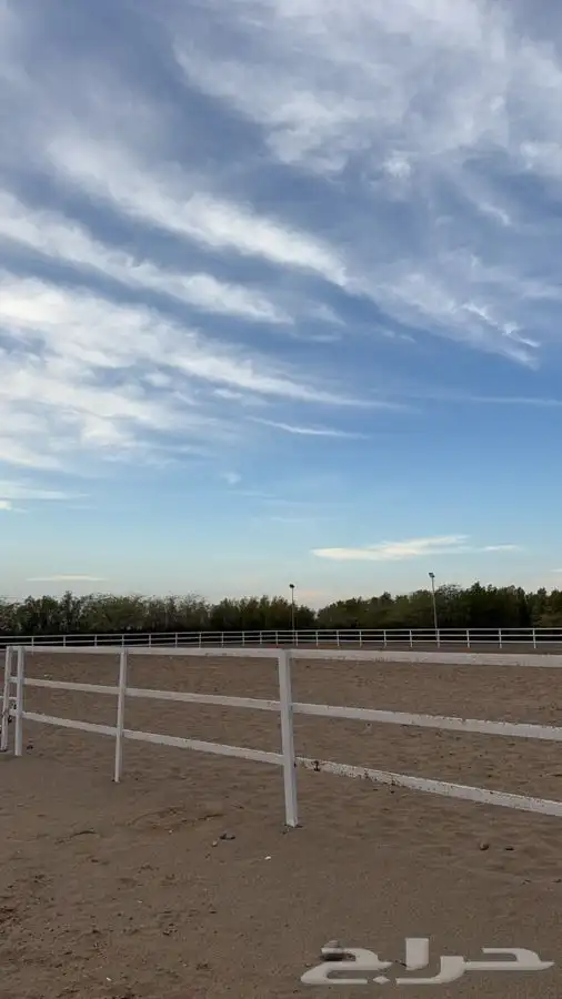 مربط العقيد ايواء وعناية الخيل 650 ريال 5