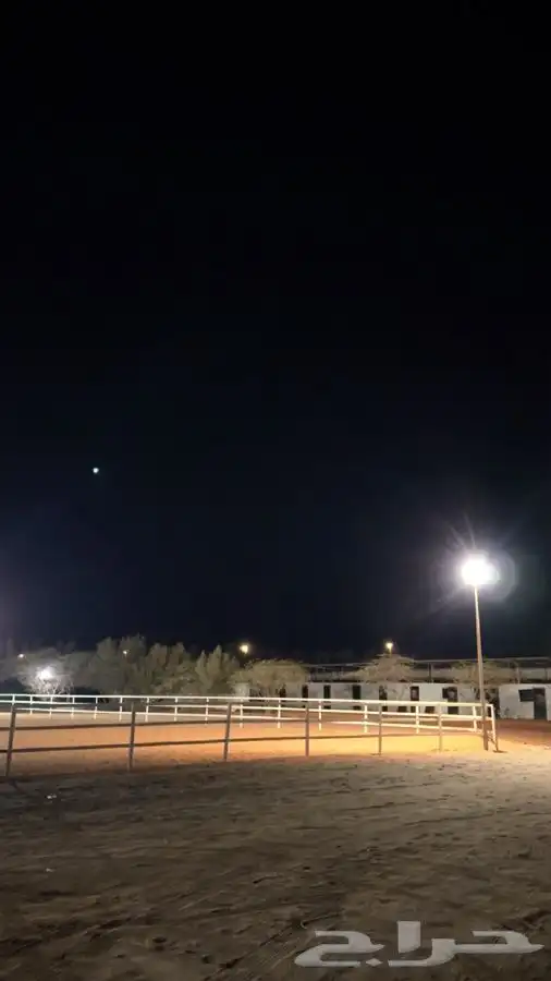 مربط العقيد ايواء وعناية الخيل 650 ريال 8
