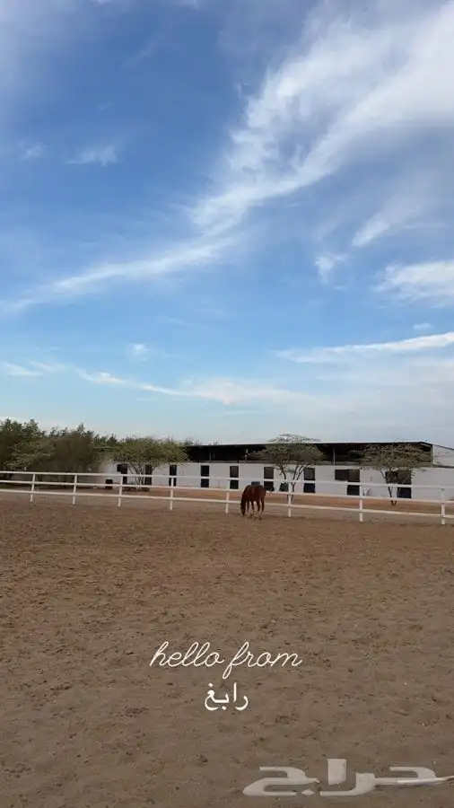 مربط العقيد ايواء وعناية الخيل 650 ريال 0