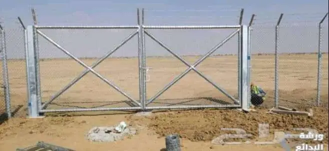 نخل للبيع خلاص مثمره وسكري وبرحي وواشنطن وتركيب شبوك 18