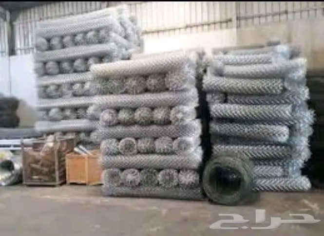 نخل للبيع خلاص مثمره وسكري وبرحي وواشنطن وتركيب شبوك 20