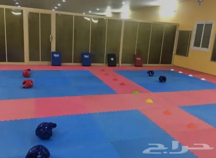 مدرب لياقة و كاراتيه و فنون الدفاع عن النفس 0