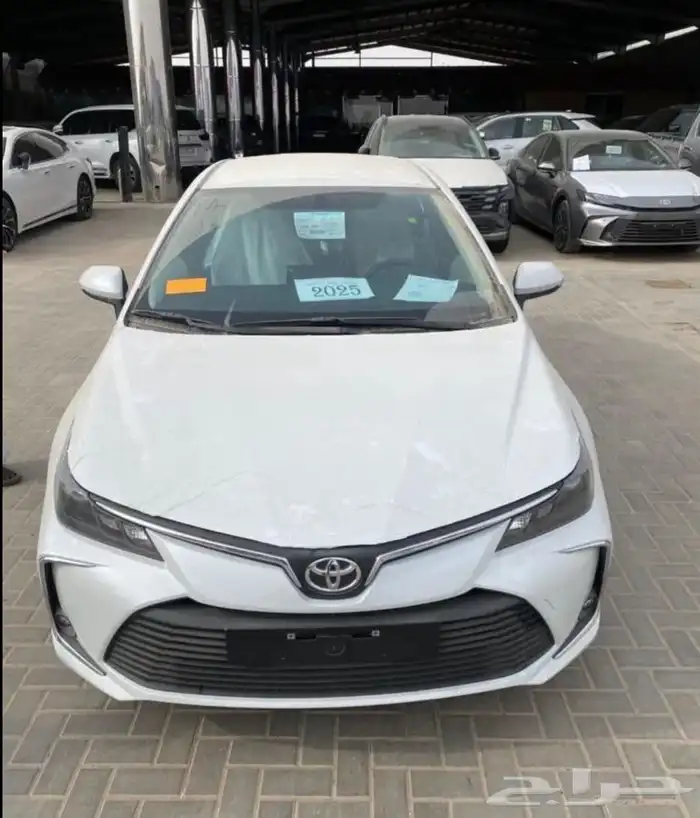 تاجير سيارات الجبيل . rent cars 3