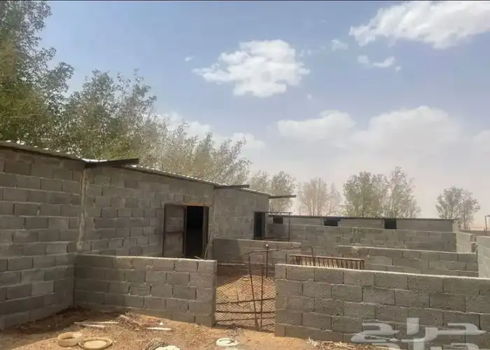 مزرعة 26