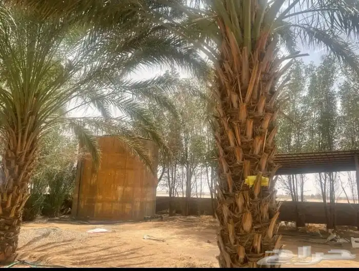 مزرعة 27