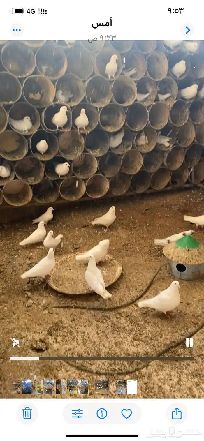حمام فرنسي 1