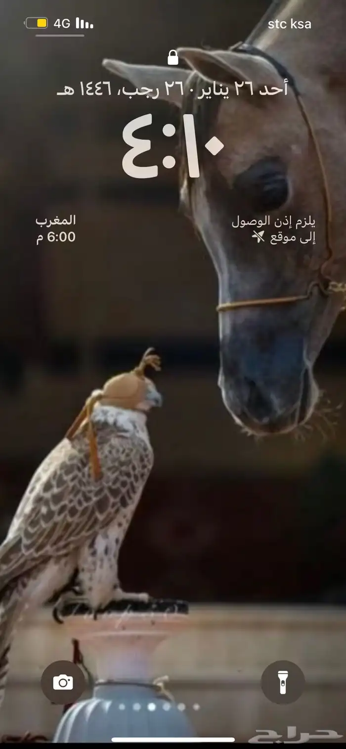 إيواء خيل في اصطبل خاص 0