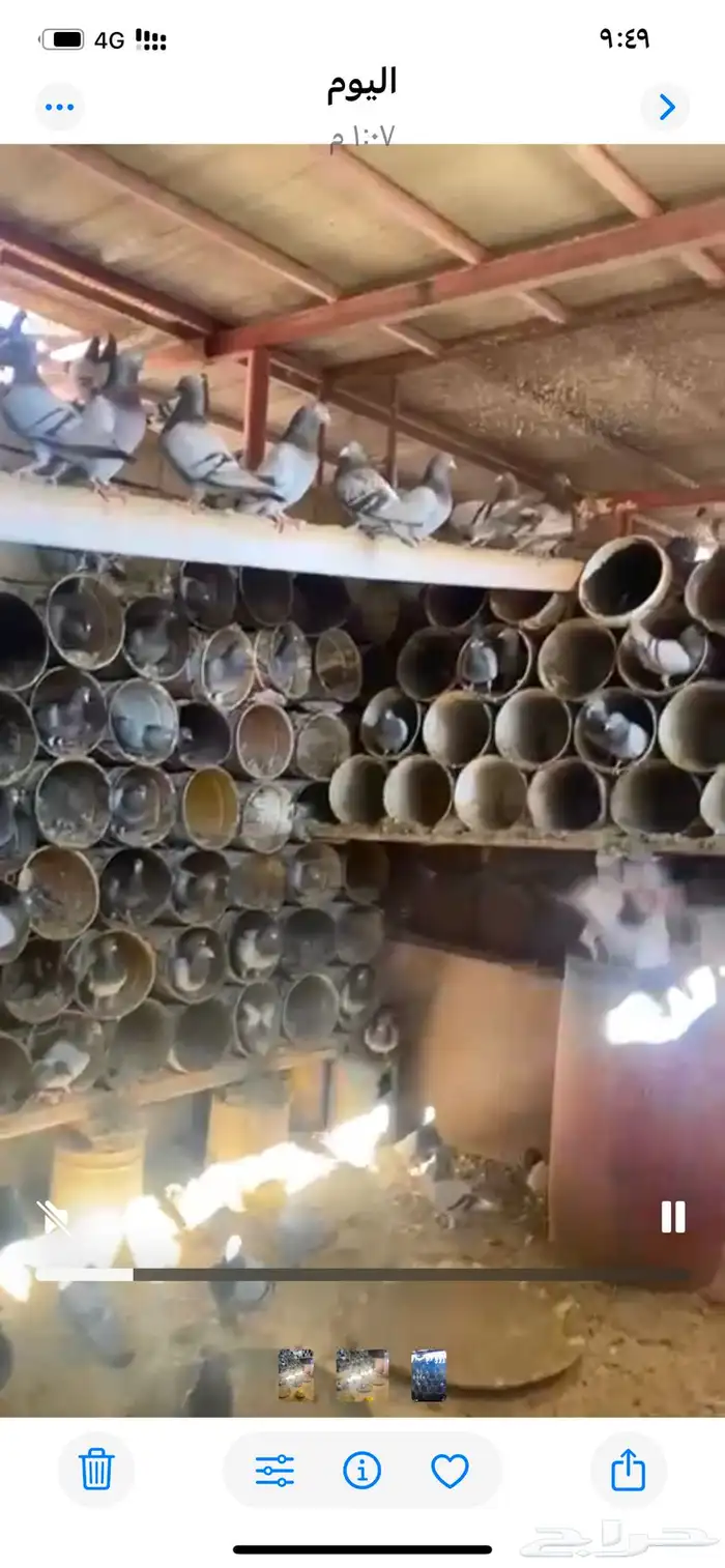حمام فرنسي 3