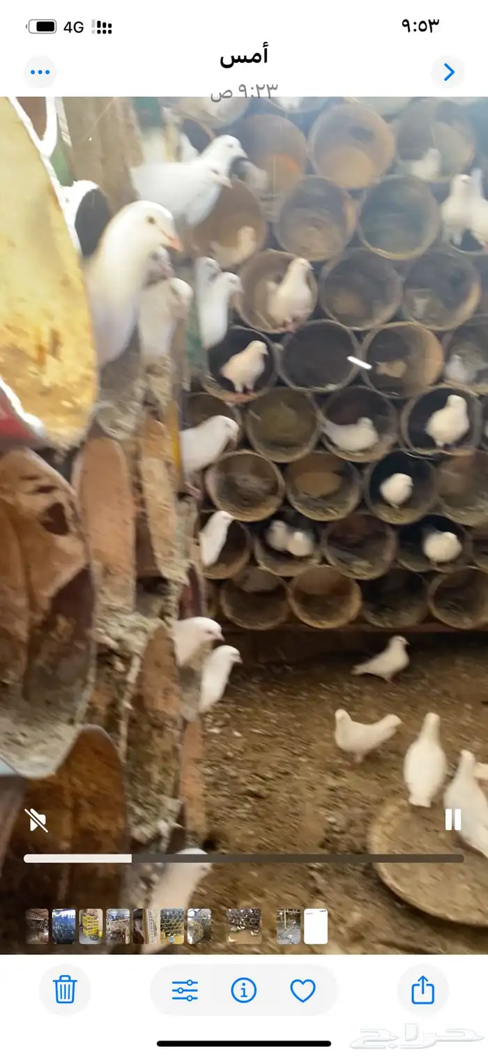 حمام فرنسي 2