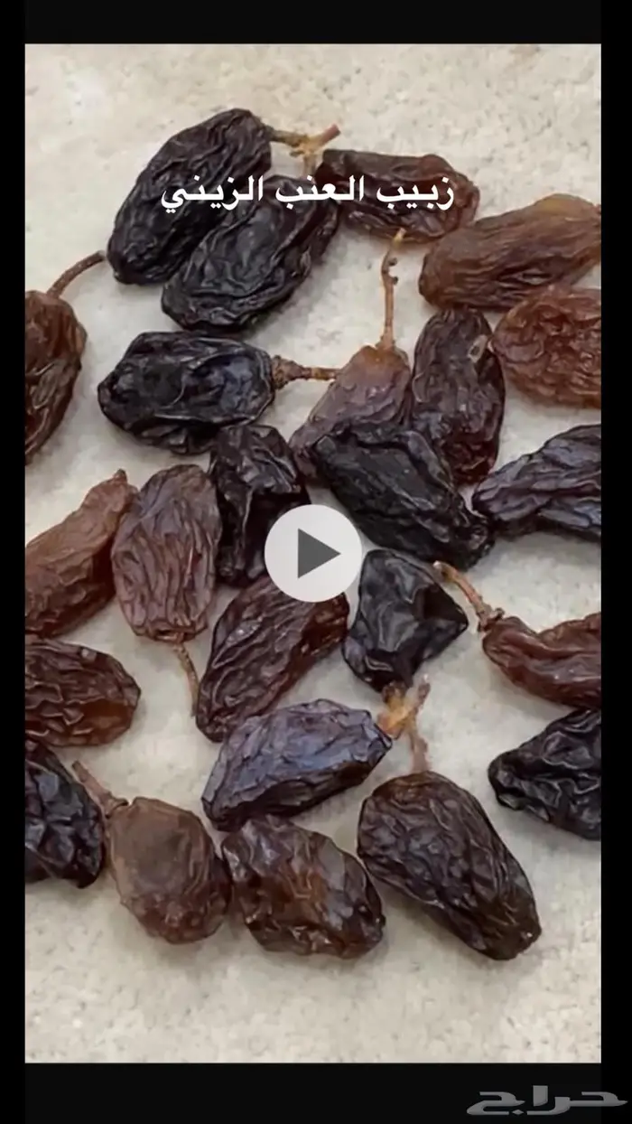 شتلات للبيع 4